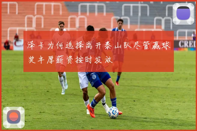 泽卡为何选择离开泰山队尽管赢球奖丰厚薪资按时发放