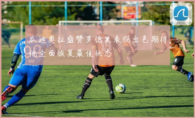 瓜迪奥拉盛赞罗德里表现出色期待他全面恢复最佳状态