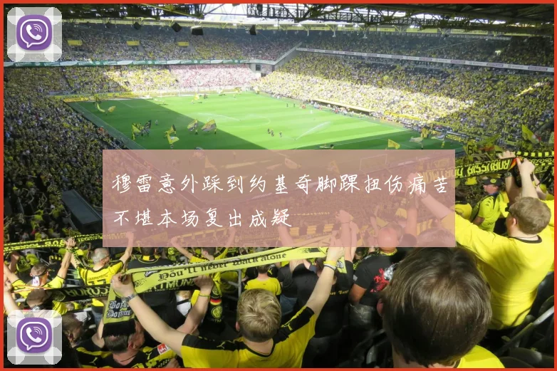 穆雷意外踩到约基奇脚踝扭伤痛苦不堪本场复出成疑