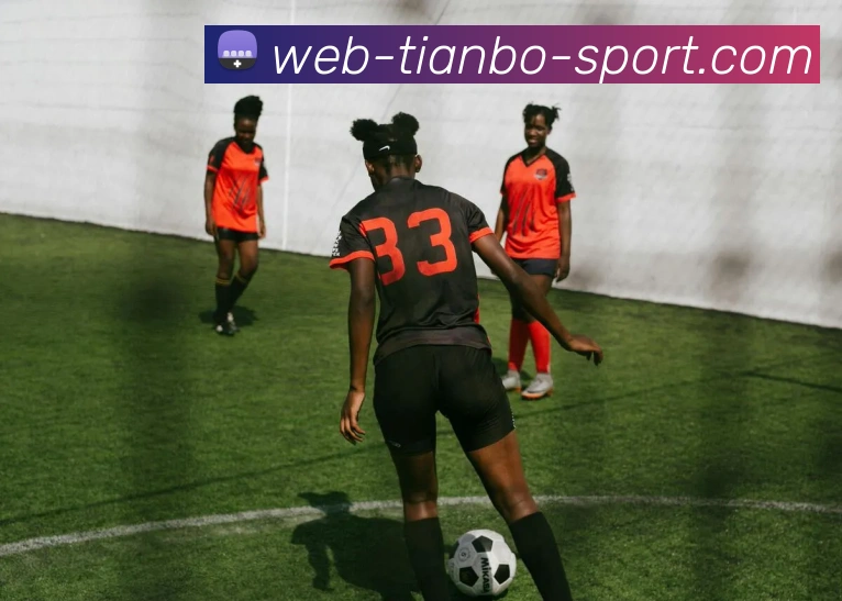 天博体育平台生态图